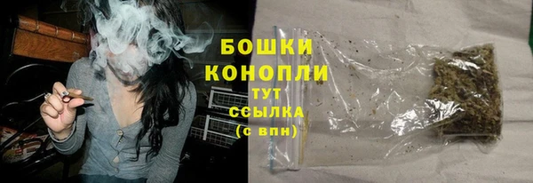 соль ск Арсеньев